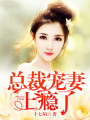 總裁寵妻上癮了