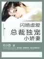 閃婚虐愛：總裁獨(dú)寵小嬌妻