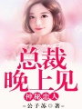 神秘戀人：總裁晚上見