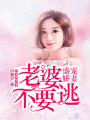 盛寵嬌妻：老婆不要逃