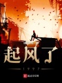 起风了1997