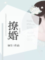 撩婚
