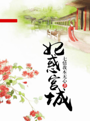 妃惑宮城