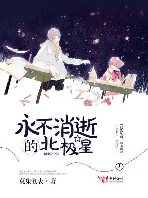 永不消逝的北極星