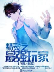 精靈之最強(qiáng)玩家