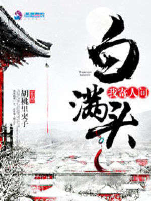 我寄人間白滿頭