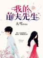 我的前夫先生