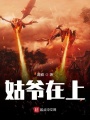 姑爺在上