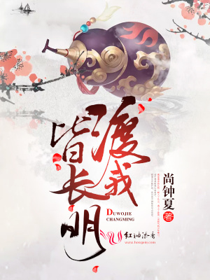 渡我皆長明