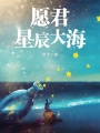 愿君星辰大海