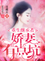 重生繼承者：嬌妻有點坑