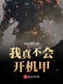 我真不會開機甲