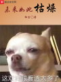 未来如此枯燥