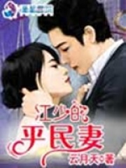 江少的平民妻