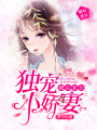 暖心老公獨寵小嬌妻