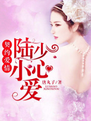 契約愛情：陸少小心愛
