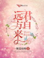 君自遠方來
