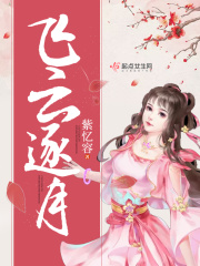 飛云逐月