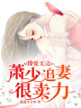 撩愛無邊：蕭少追妻很賣力