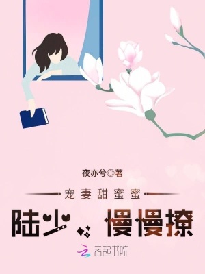 寵妻甜蜜蜜：陸少，慢慢撩