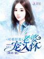 暖婚契愛：老婆，寵入懷