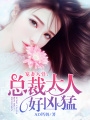 寵妻入骨：總裁大人好兇猛