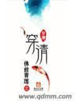 穿清第十六冊