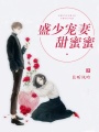 盛少寵妻甜蜜蜜