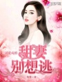 試愛成婚：甜妻，別想逃！