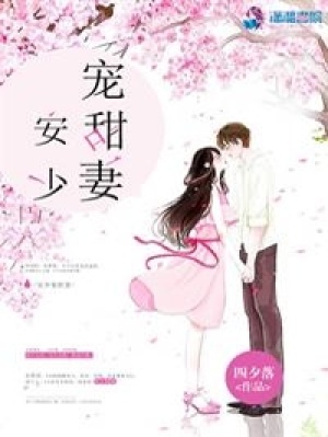 安少寵甜妻