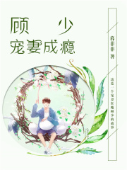 顧少寵妻成癮