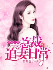 寵妻無度：總裁追妻日常
