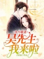 頭號新妻：吳先生我來啦