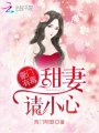 豪門(mén)有毒：甜妻，請小心