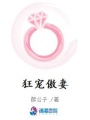 狂寵傲妻