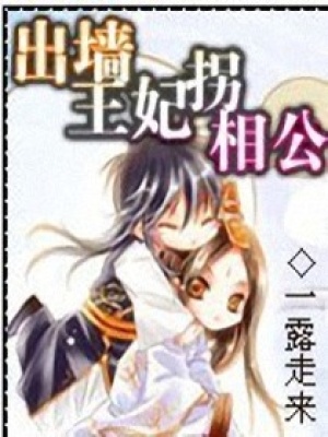 出牆王妃拐相公