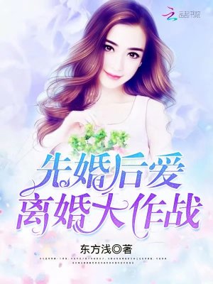 先婚后愛：離婚大作戰