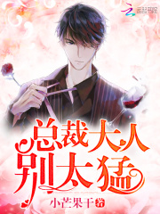 總裁大人，別太猛