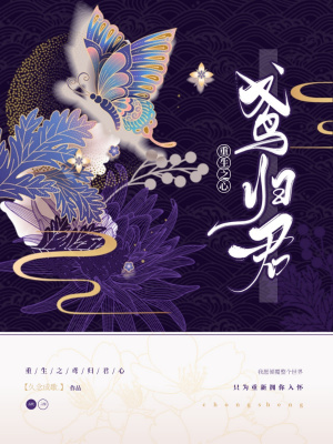 重生之鳶歸君心