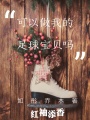 可以做我的足球?qū)氊悊? class=