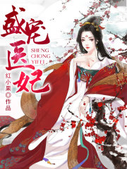 盛寵醫(yī)妃