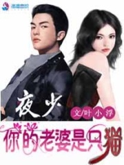 夜少，你的老婆是只貓