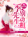 重征娛樂圈：季先生，別動粗！