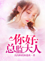 你好，總監(jiān)大人