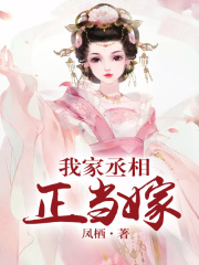 我家丞相正當嫁