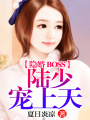 隱婚BOSS：陸少，寵上天