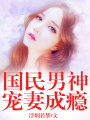 國民男神寵妻成癮