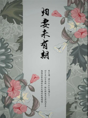 歸妻未有期