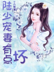 陸少寵妻有點壞