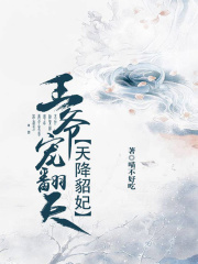 天降貂妃：王爺寵翻天